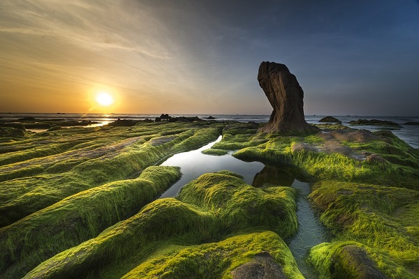 氨氮廢液對環(huán)境的影響.jpg 氨氮廢液對環(huán)境的影響.jpg