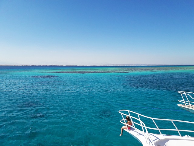 1686291495361334.jpg beach-6004041_640.jpg